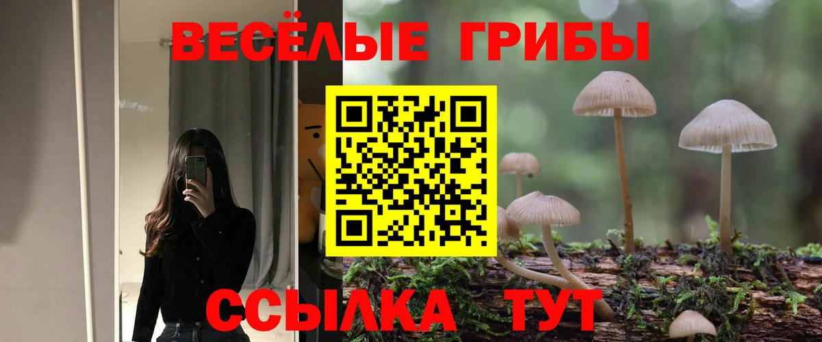 Елец  Псилоцибиновые грибы Cubensis  Вход с VPN 