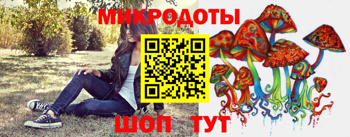 Псилоцибиновые грибы Psilocybine cubensis Елец